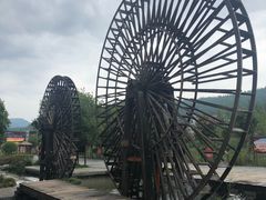 -印象鲵宴·张家界地标美食名片(溪布街店)