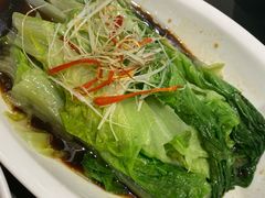 白灼罗马生菜-东哥紫阳蒸盆子(旺座·现代城店)