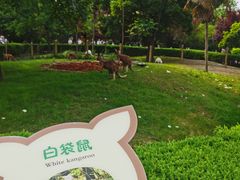 -扬州市茱萸湾风景区
