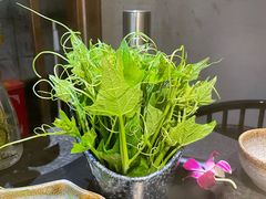 -新草堂锅物料理(泉城路店)