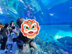 -海合安武汉极地海洋公园
