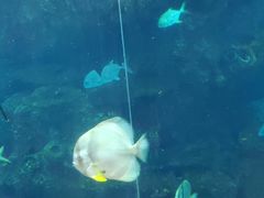 -鸿通城购物中心