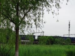 -永定河休闲森林公园