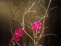 -湖滨客舍·湖北菜