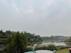 -白鹭湾湿地公园