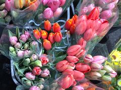 -循礼门鲜花花市(武汉循礼门店)