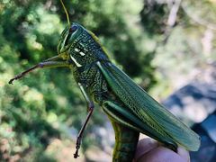 -碓臼峪自然风景区