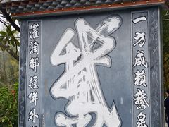 -靖西鹅泉风景区