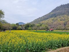 -八卦田遗址公园