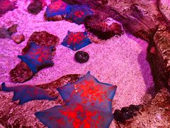 -沈阳海洋探索中心