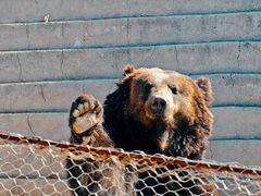 -鄂尔多斯野生动物园