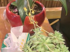 -粗粮人家·东北菜(洋桥店)