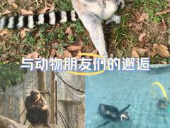 -上海野生动物园