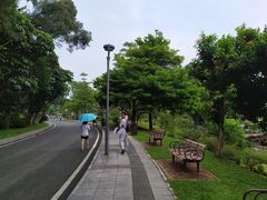 -东莞植物园