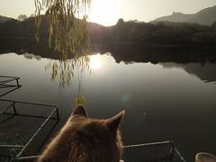 -杭州半山国家森林公园