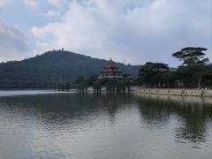 -顺峰山公园