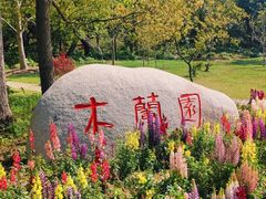 -上海滨江森林公园