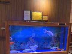 -阿春传统老菜馆(民航路店)