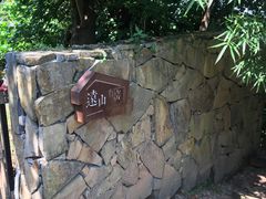 -远山有窑