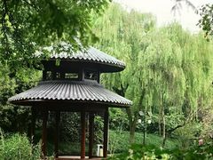 -茅家埠