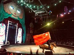 -俄罗斯国家大马戏团