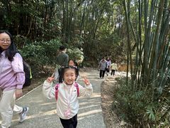 -桃花涧