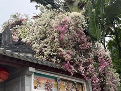 -深圳国际园林花卉博览园