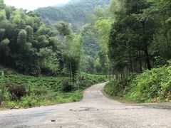 -水墨汀溪风景区
