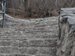 -香山公园