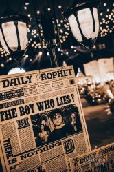 -西安威斯汀大酒店·宴会厅