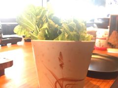 -陇璟烧肉酒场(友谊阳光城店)