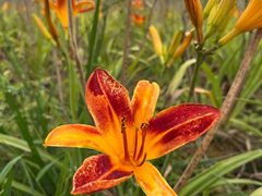 -汉长安城未央宫国家考古遗址公园