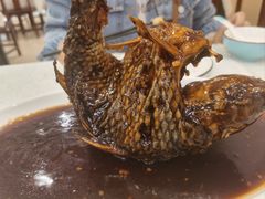 罾蹦鲤鱼-奥华餐厅·老张记(台基厂店)