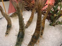 会跳舞的虾-川越泰火锅(吉利大厦店)