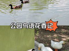 -仰山公园
