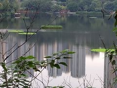 -重庆彩云湖湿地公园