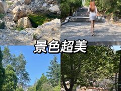 -禅宗少林·音乐大典