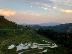 -紫鹊界梯田景区