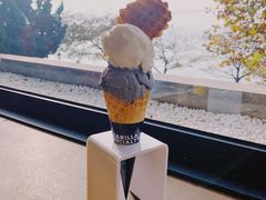 自制冰淇淋-Vanilla Specialty Coffee(八大关店)