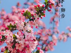 -海棠花溪(元大都城垣遗址公园)