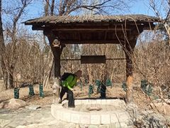 -国家植物园南园