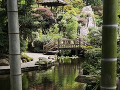 -南山植物园