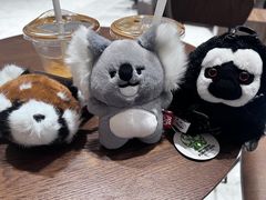 -LOOOAD COFFEE进度条(D9街区店)