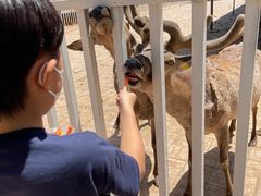 -赛汗塔拉风情园