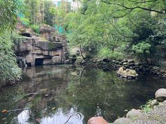 -潜山国家森林公园