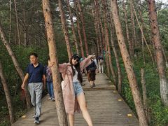 -帽儿山国家森林公园