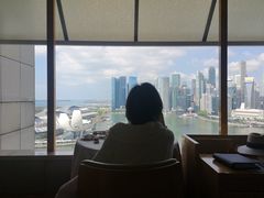 -新加坡丽思卡尔顿美年酒店
