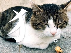 -UNI UNI(环亚凯瑟琳店)