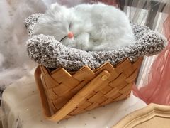 -鹿屿DIY烘焙·公司团建·生日会包场(广州东站店)