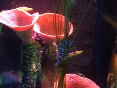 -沈阳海洋探索中心